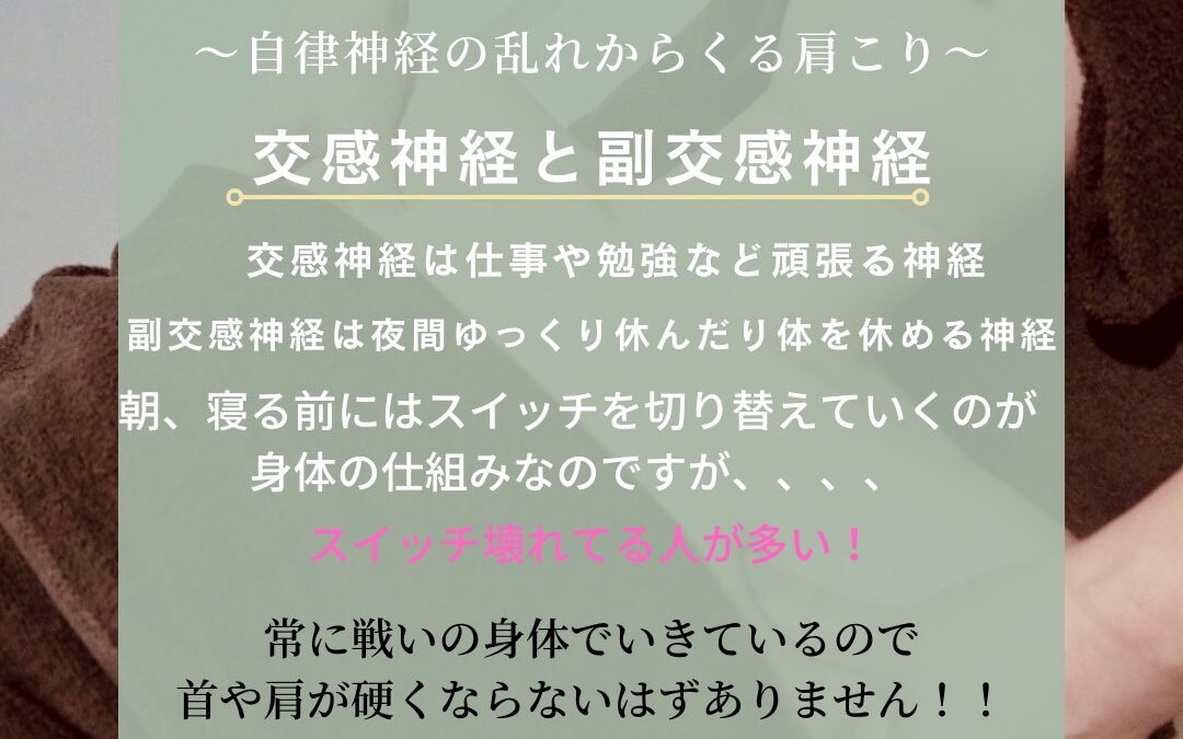 首・肩こりの原因・・・3！【自律神経】