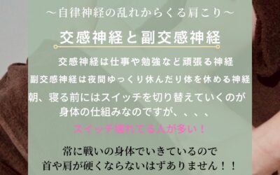 首・肩こりの原因・・・3！【自律神経】