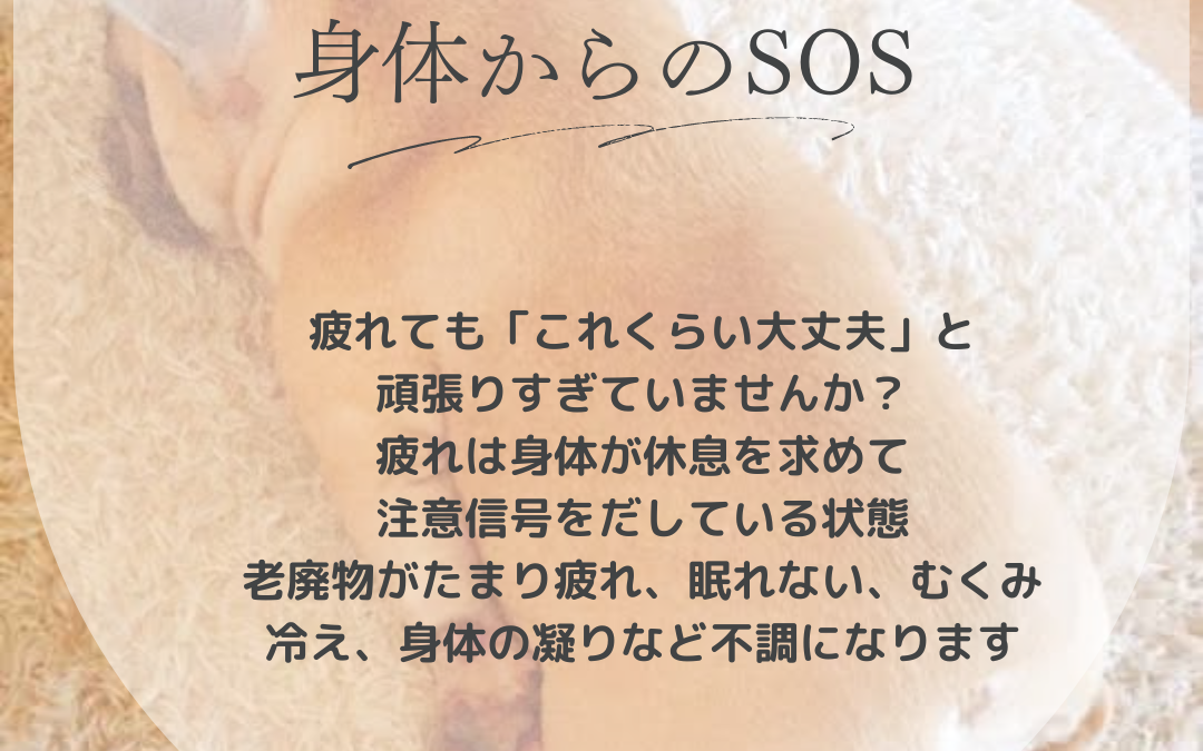 「疲れた」は身体からのSOS