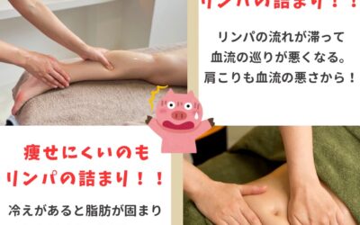 美しい身体作り、始めませんか？