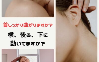 首しっかり曲がりますか？