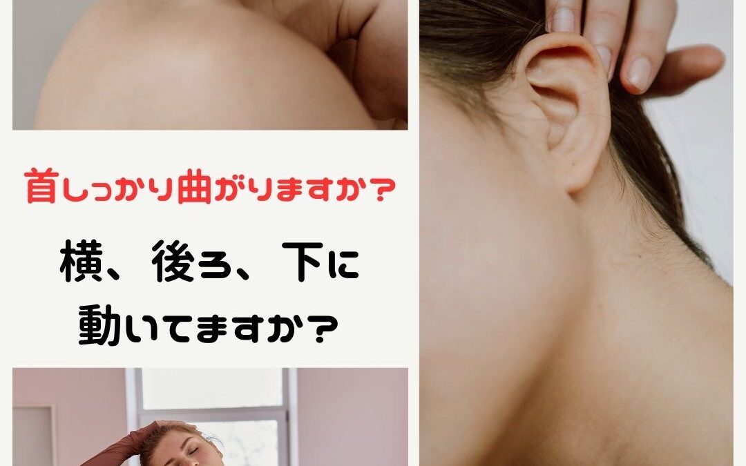 首、しっかり曲がりますか？